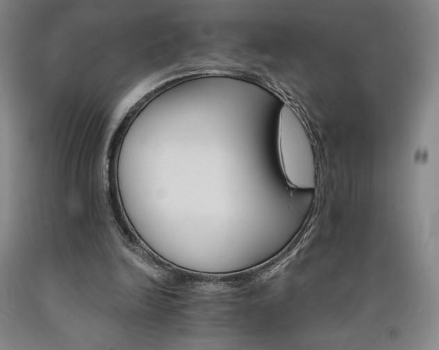 X0000090920246200707301539
