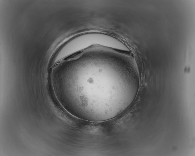 X0000090920247200707301539