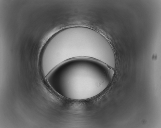 X0000090920248200707301539