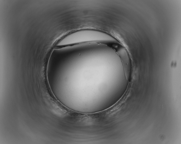 X0000090920249200707301539