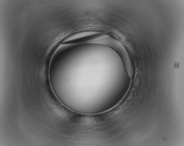 X0000090920250200707301539