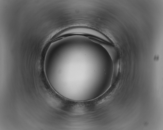 X0000090920252200707301539