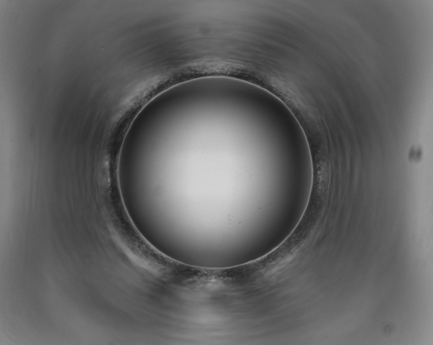 X0000090920254200707301539