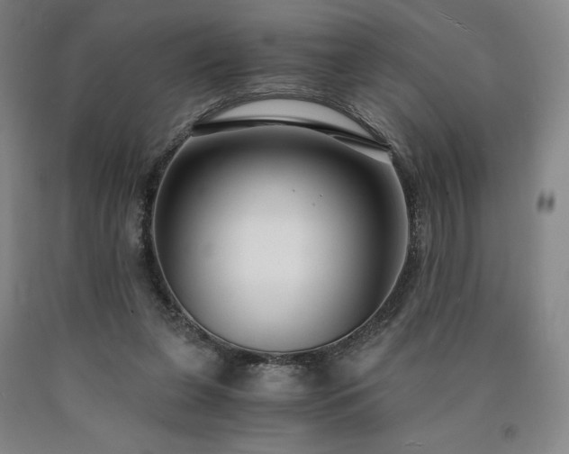 X0000090920255200707301539