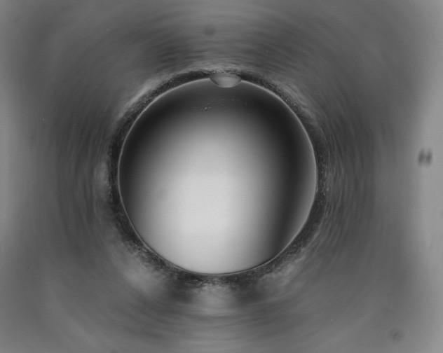 X0000090920256200707301539