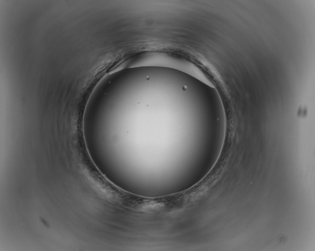 X0000090920257200707301539