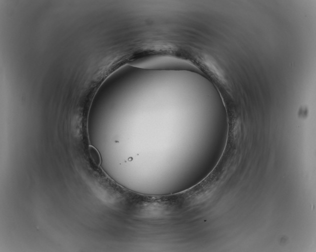 X0000090920259200707301539