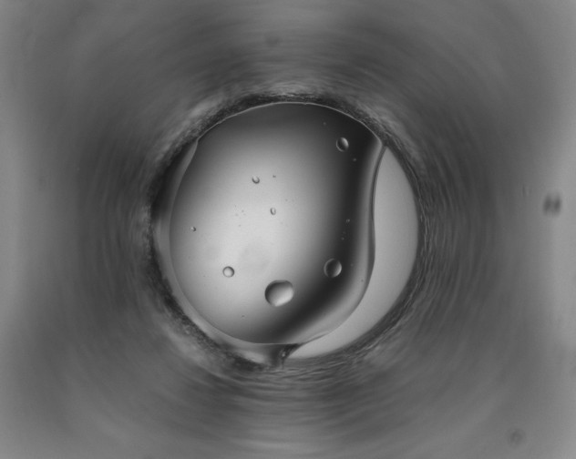 X0000090920260200707301539