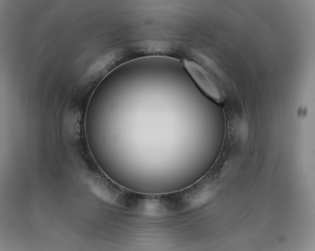 X0000090920264200707301539