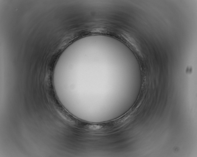 X0000090920265200707301539