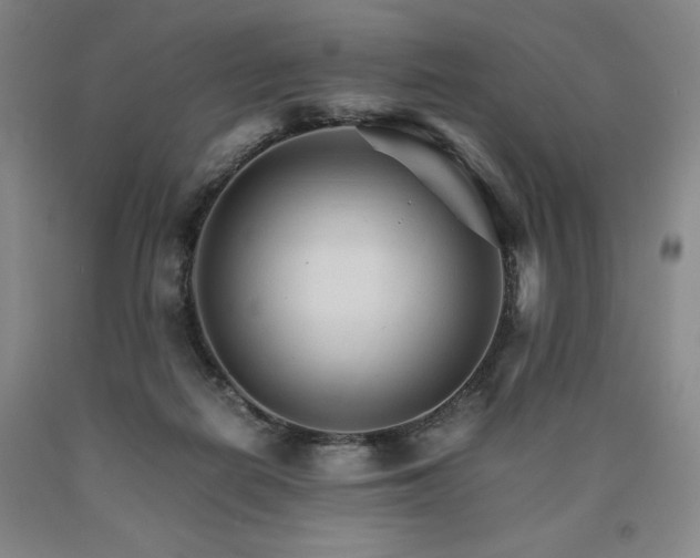 X0000090920266200707301539