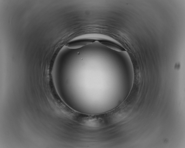 X0000090920267200707301539