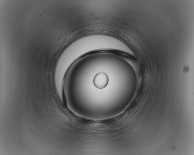 X0000090920268200707301539