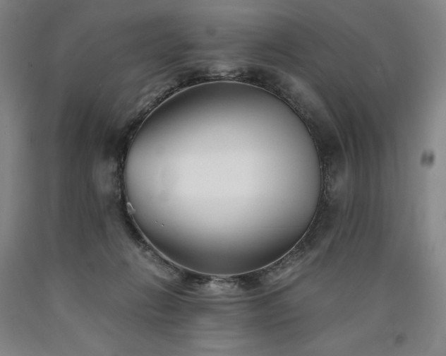 X0000090920270200707301539