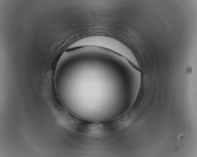 X0000090920271200707301539