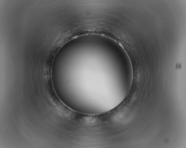 X0000090920272200707301539