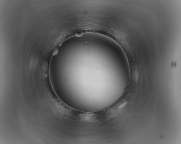 X0000090920273200707301539