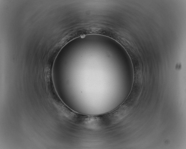 X0000090920274200707301539