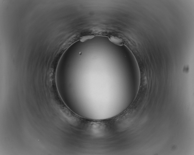 X0000090920275200707301539