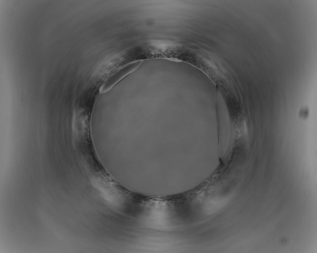 X0000090920276200707301539