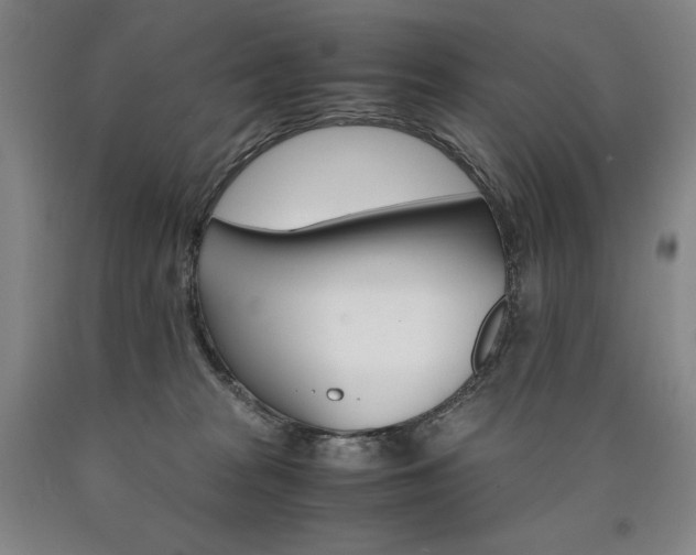 X0000090920277200707301539