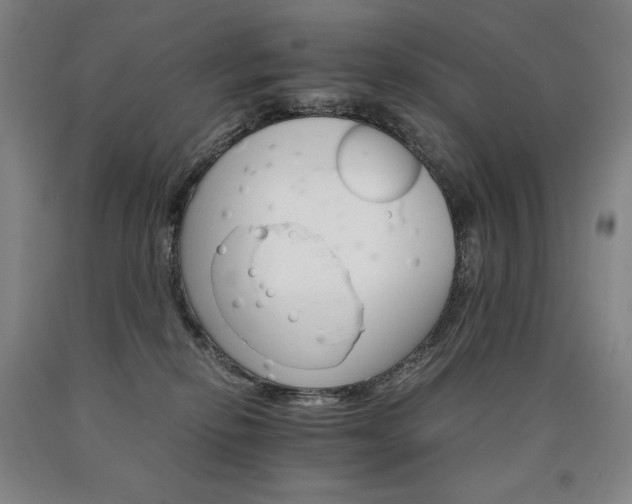X0000090920278200707301539