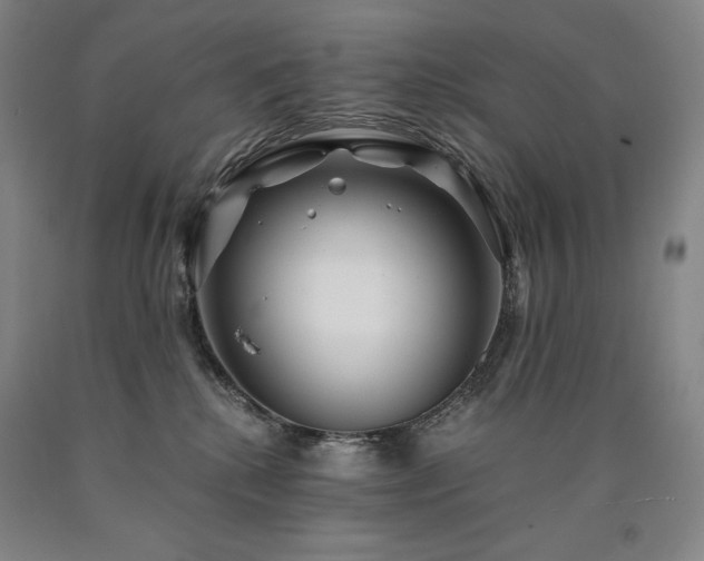 X0000090920280200707301539