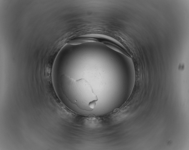 X0000090920281200707301539