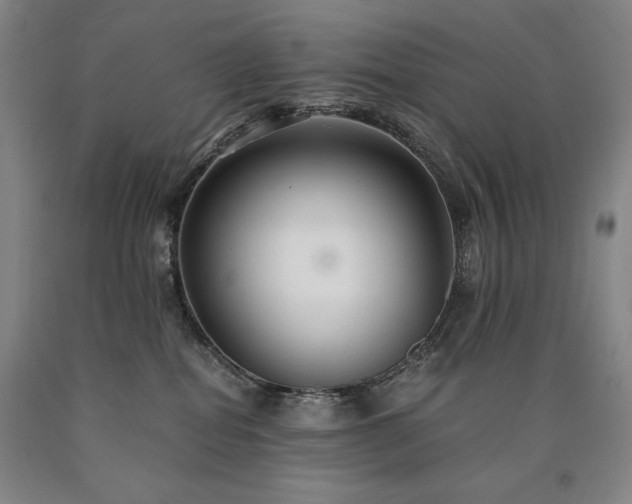 X0000090920282200707301539