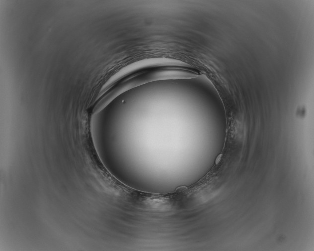 X0000090920283200707301539