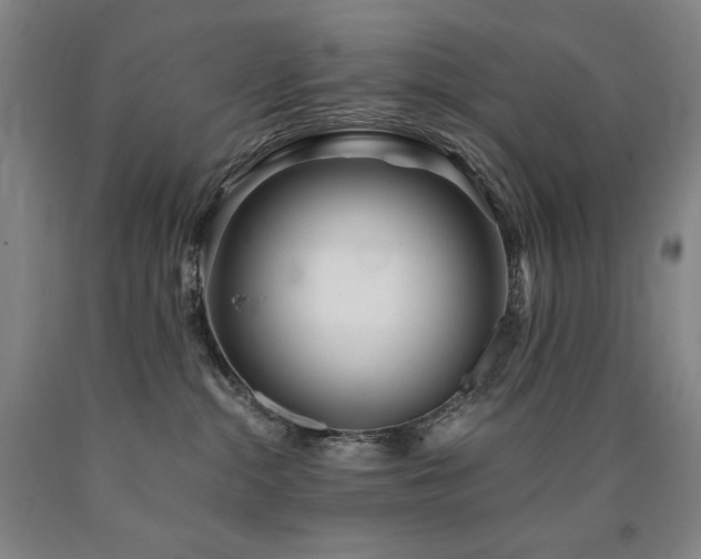 X0000090920284200707301539