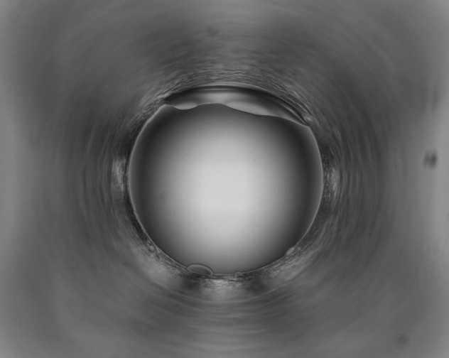 X0000090920286200707301539