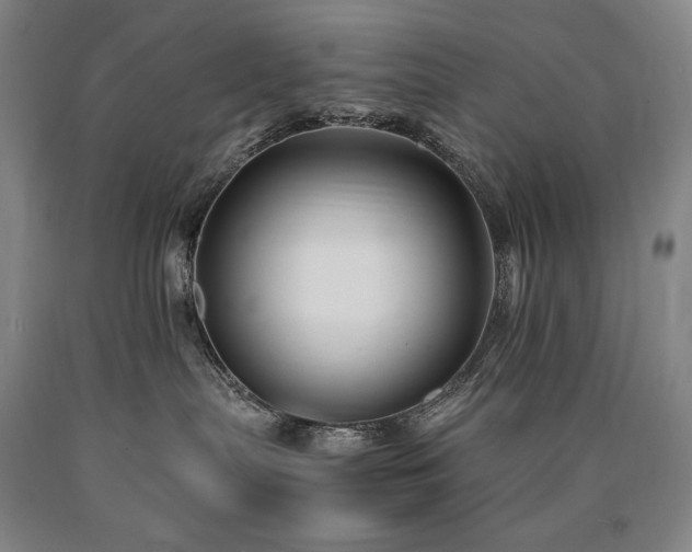 X0000090920287200707301539
