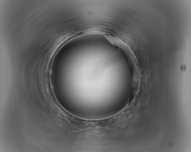 X0000090920289200707301539