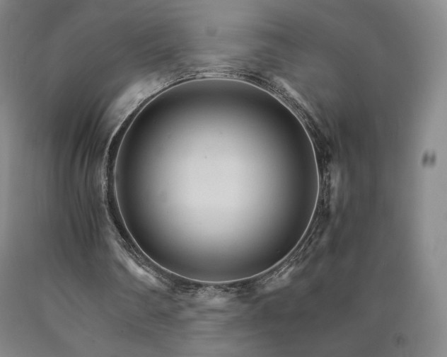 X0000090920290200707301539