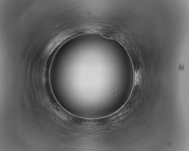 X0000090920291200707301539