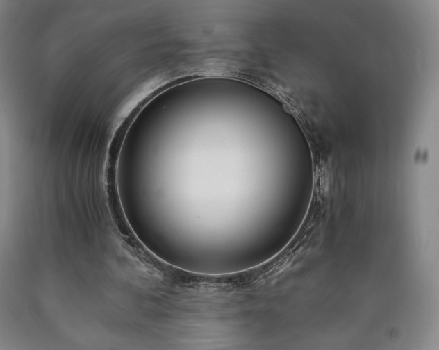 X0000090920292200707301539