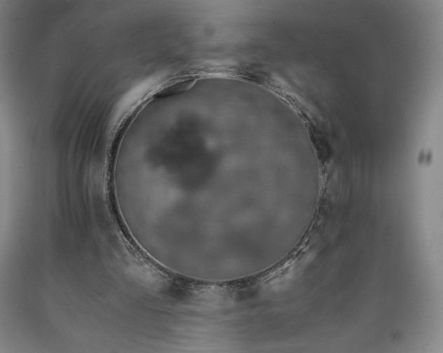 X0000090920293200707301539