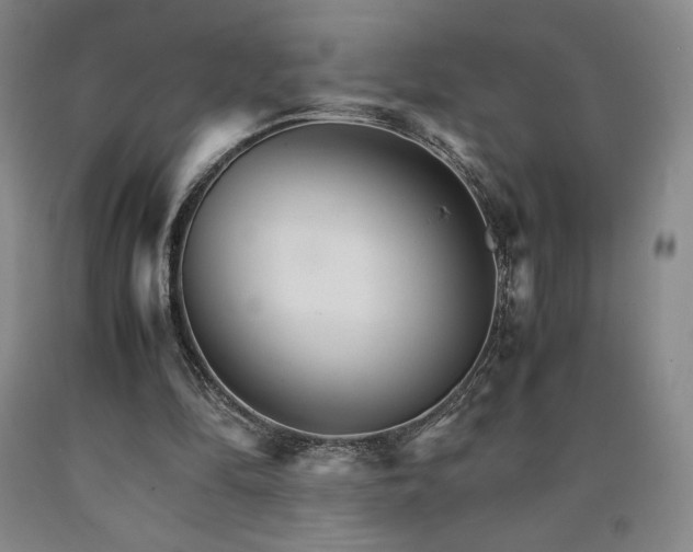 X0000090920294200707301539