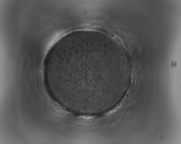 X0000090920295200707301539
