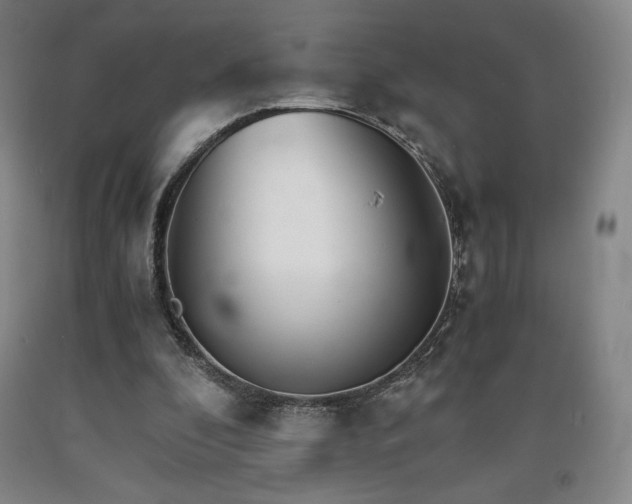 X0000090920296200707301539
