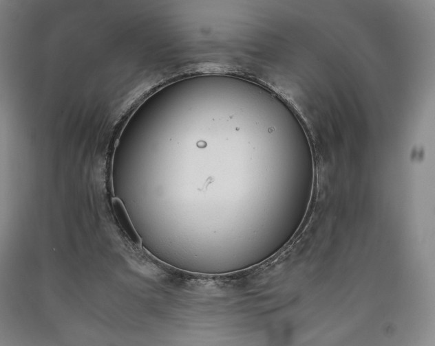 X0000090920297200707301539