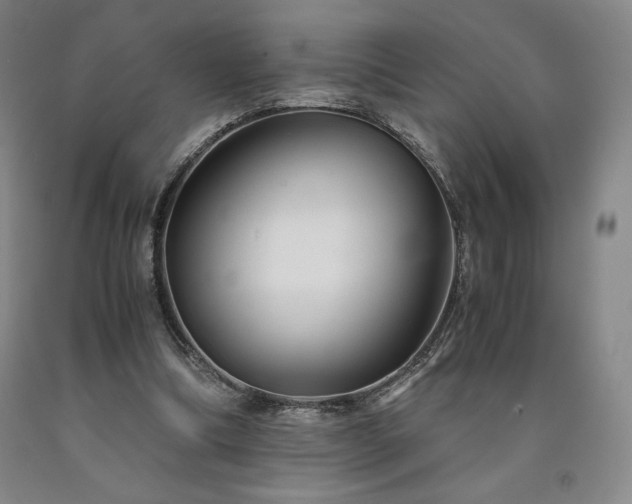 X0000090920298200707301539