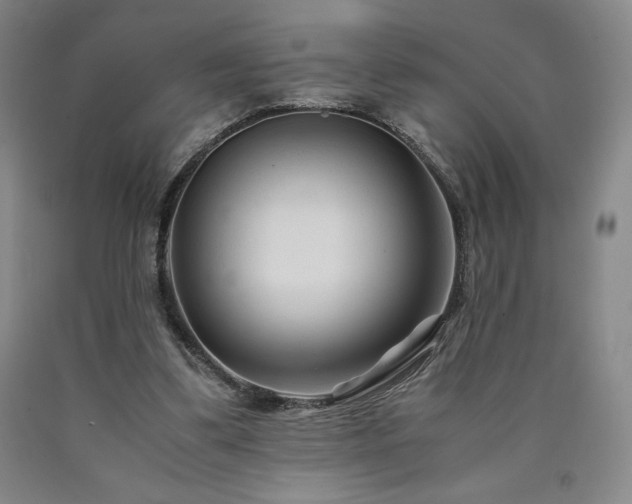 X0000090920299200707301539