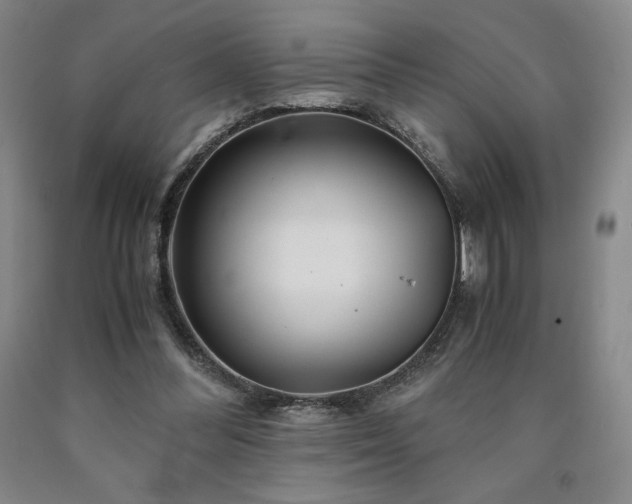 X0000090920300200707301539