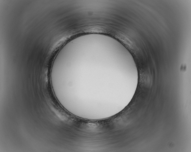 X0000090920302200707301538