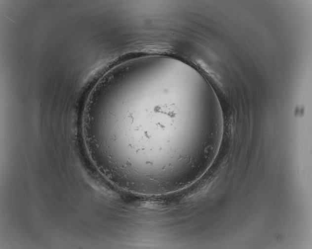X0000090920303200707301538