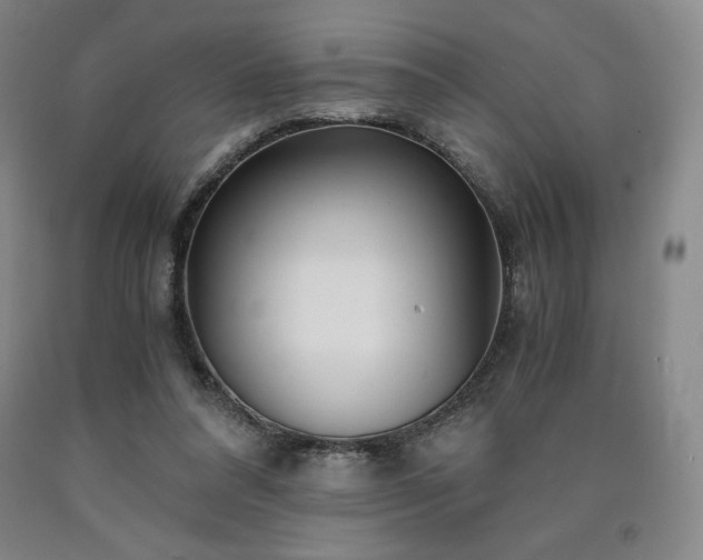 X0000090920304200707301538