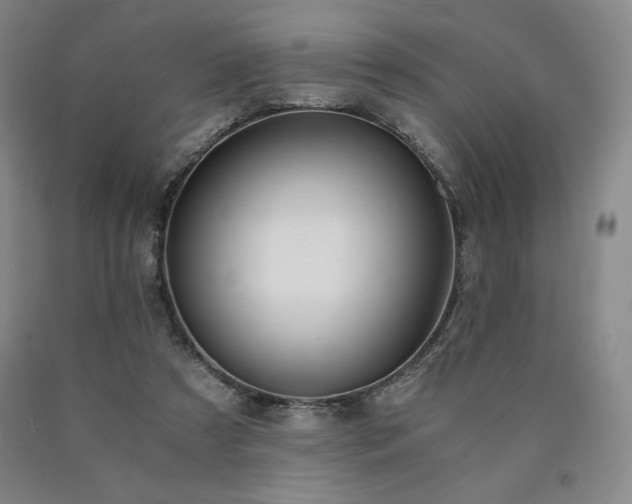 X0000090920305200707301538