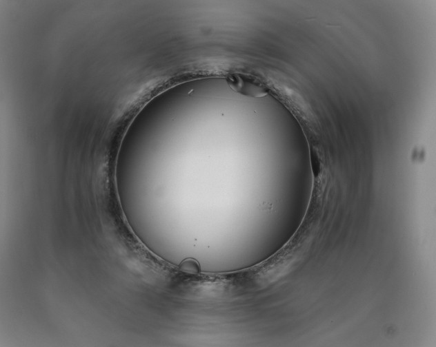 X0000090920306200707301538